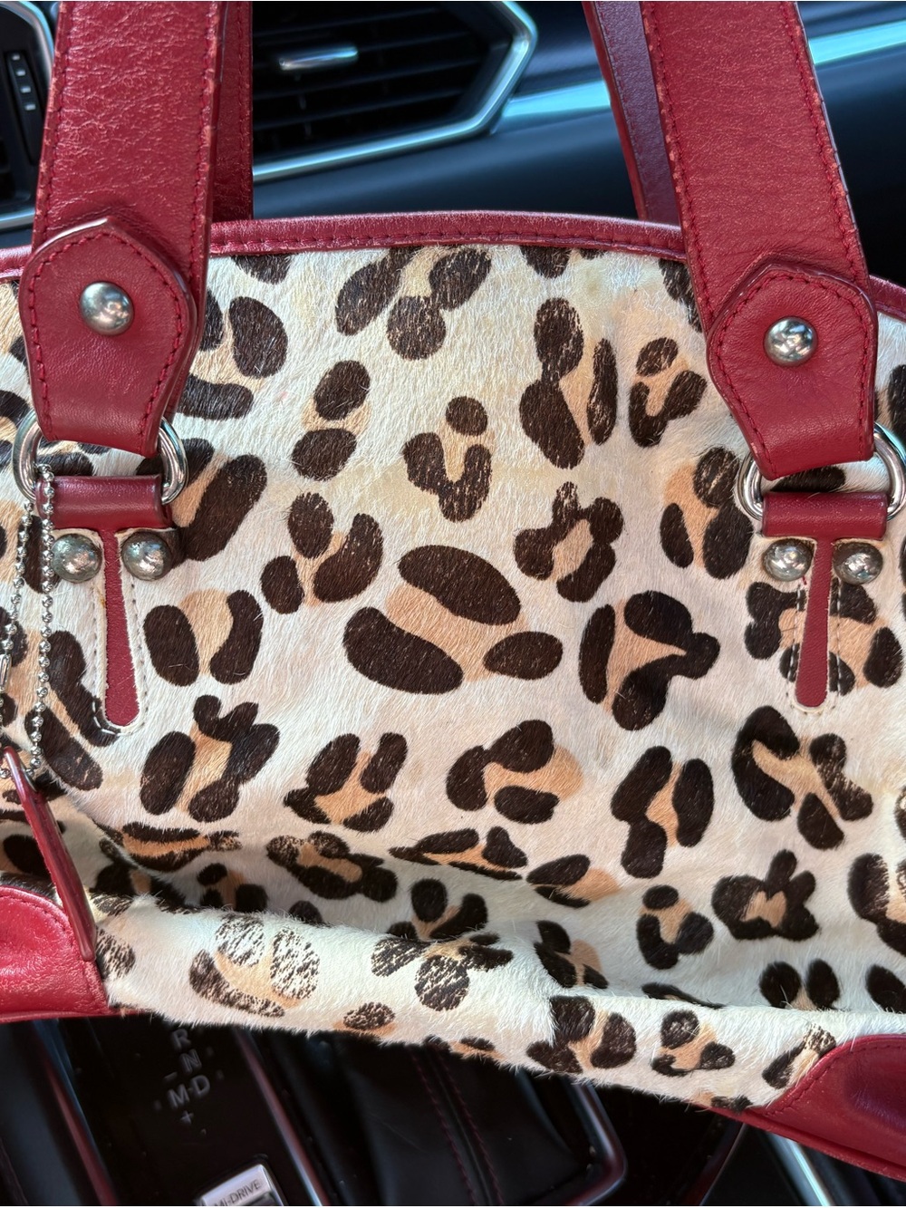 Danier leather and pony hair Leopard Print Tote Bag with Red Trim